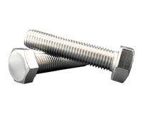 Hexagonal screw M20x85 316 | stainless 