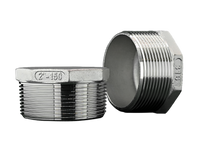 Hexagonal plug 2'' 316 | stainless A4