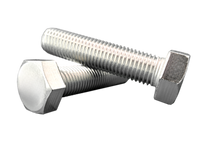 Hexagonal screw M16x70 304 | stainless