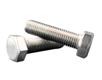 Hexagonal screw M16x60 304 | stainless